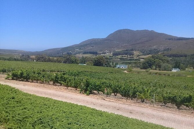 Hermanus Whale Coast Wine Tour (Cape To Grape Wine Tours) - Creation pairs chocolate with wine