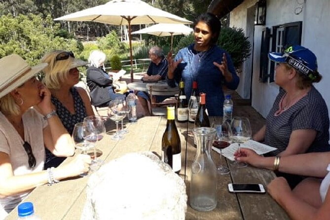 Hermanus Whale Coast Wine Tour (Cape To Grape Wine Tours) - What the $150.95 price really covers