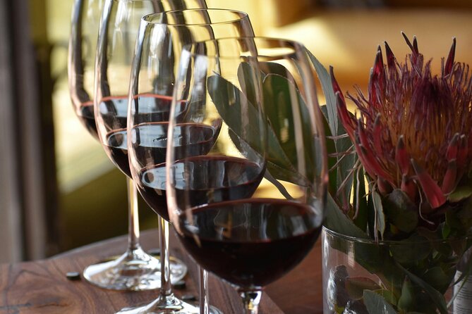 Hermanus Whale Watching and Wine Tasting - Who will enjoy this day most?