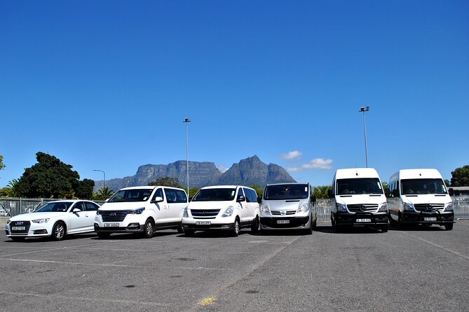 Hermanus Whales and Wine Full Day Private Tour - Why this Cape Town day trip works