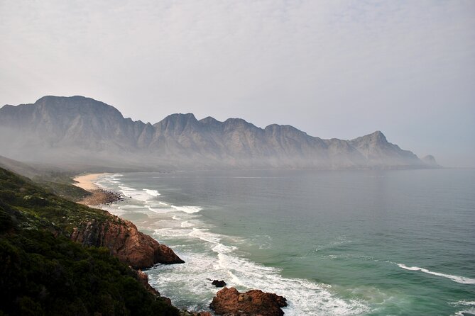 Hermanus Whales and Wine Full Day Private Tour - Benguela Cove’s ocean-facing vineyards
