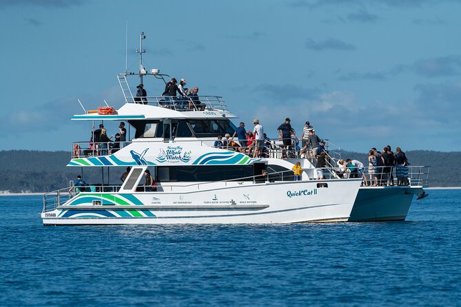 Hervey Bay: Best Value Half Day Whale Watching Cruise - Key points to know before booking