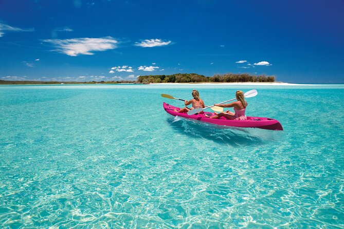 Hervey Bay: Best Value Half Day Whale Watching Cruise - Rough water and seasickness