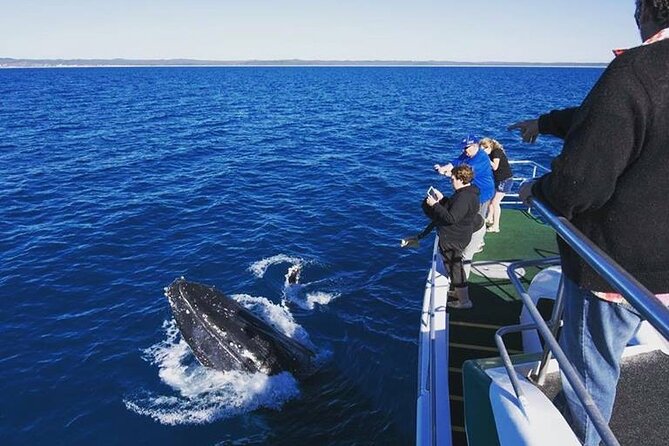 Hervey Bay: Best Value Half Day Whale Watching Cruise - Crossing toward K’gari and Platypus Bay