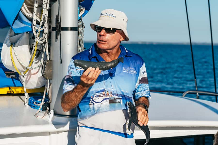 Hervey Bay: Exclusive Whale Watch Encounter - Weather, cancellations, and practical limits