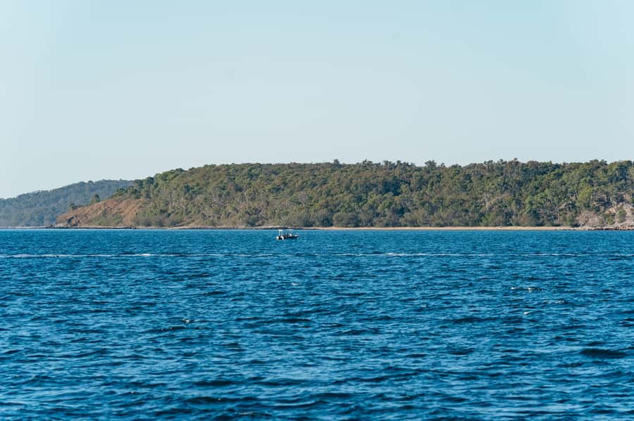 Hervey Bay: Exclusive Whale Watch Encounter - Watching whales from a close but respectful distance