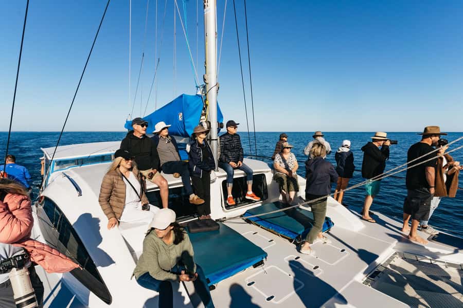 Hervey Bay: Exclusive Whale Watch Encounter - Food and comfort across a long day