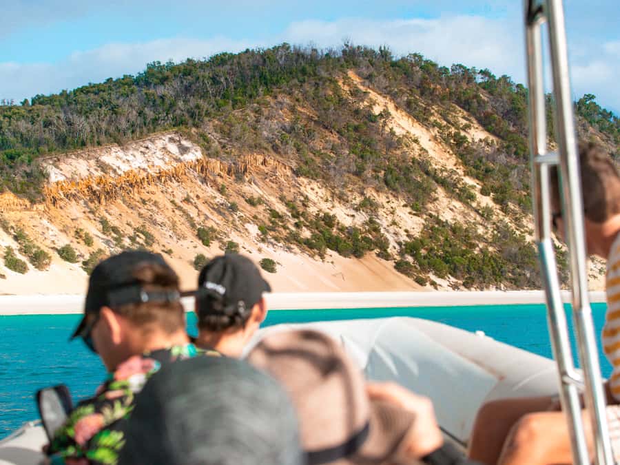 Hervey Bay: Half-Day Whale and Island Adventure by Boat - Whale watching in the world’s first Whale Heritage Site