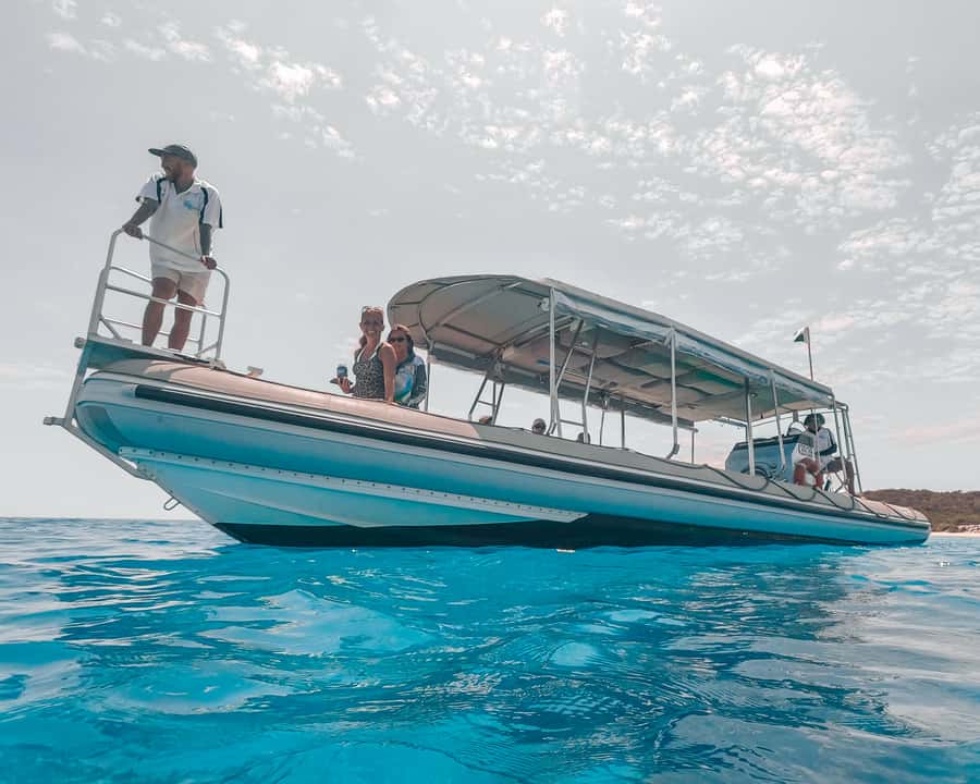 Hervey Bay: Half-Day Whale and Island Adventure by Boat - The possible whale swim
