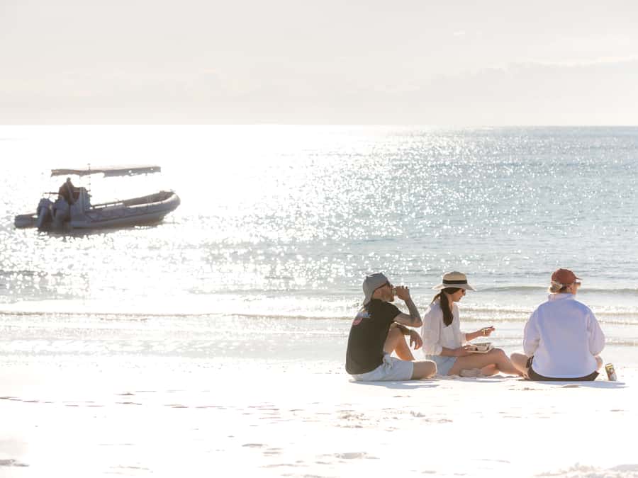 Hervey Bay: Half-Day Whale and Island Adventure by Boat - Who will enjoy Wipe Out most