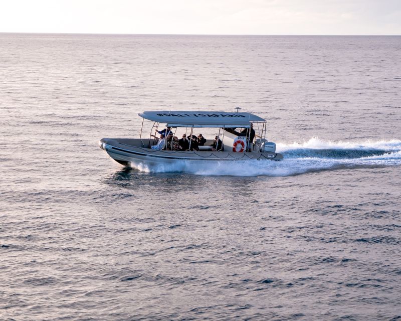 Hervey Bay: Half-Day Whale and Island Adventure by Boat - How to prepare for a better morning