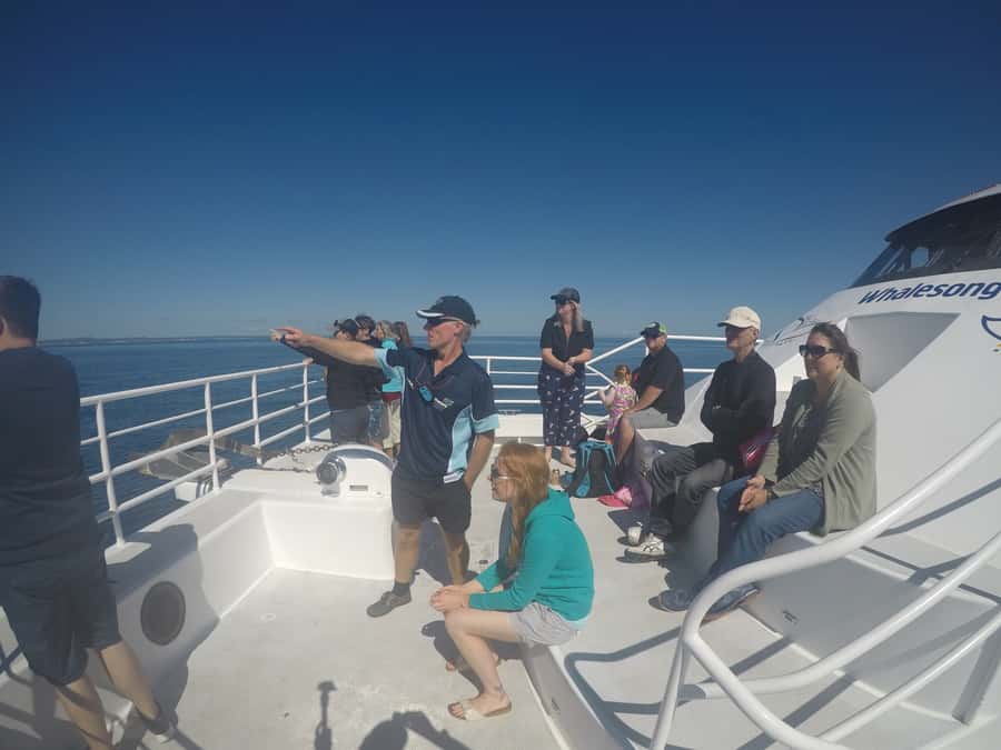 Hervey Bay: Half-Day Whale Watching Cruise with Meal - Is $113 good value for four hours?
