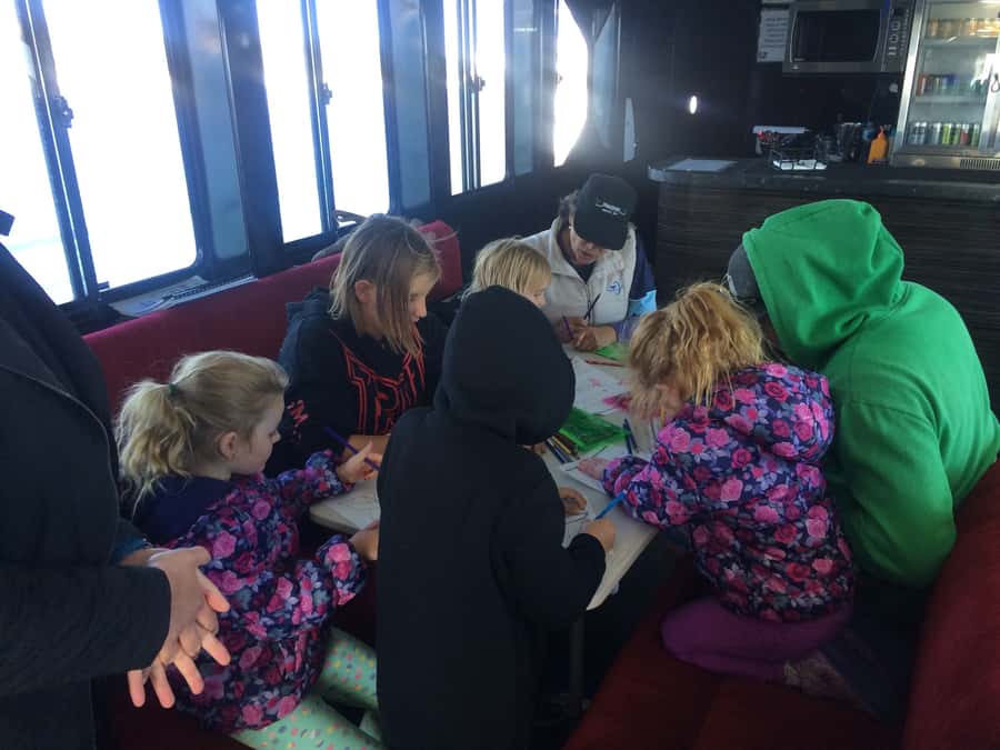 Hervey Bay: Half-Day Whale Watching Cruise with Meal - Whale song through the onboard hydrophone