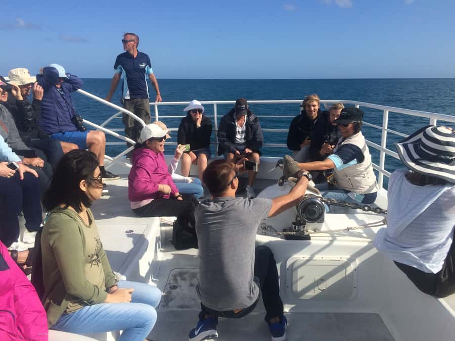 Hervey Bay: Half-Day Whale Watching Cruise with Meal - Boarding at Great Sandy Straits Marina