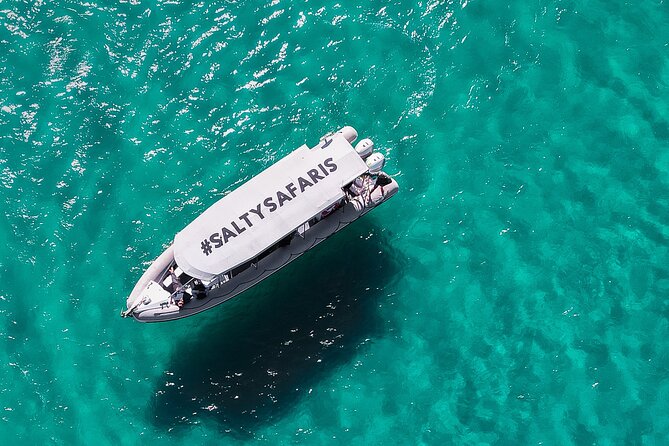 Hervey Bay: Half Day Whale watching & Island Stop Tour - Why this Hervey Bay trip feels different