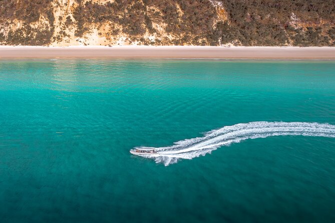 Hervey Bay: Half Day Whale watching & Island Stop Tour - Meeting point and timing