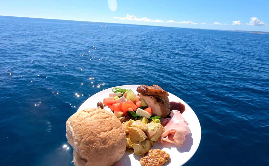 Hervey Bay: Pre-season Whale and Dolphin Watching Cruise - Key points to know before you book