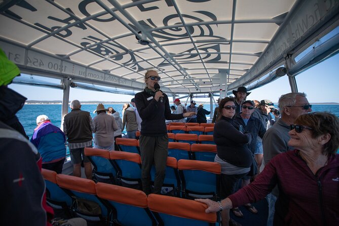Hervey Bay Ultimate Whale Watching Cruise - A marine naturalist turns sightings into understanding