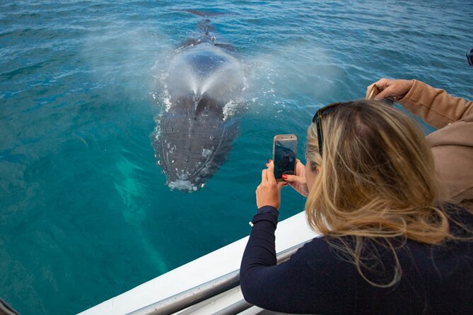Hervey Bay Ultimate Whale Watching Cruise - Snacks, drinks, and the family angle