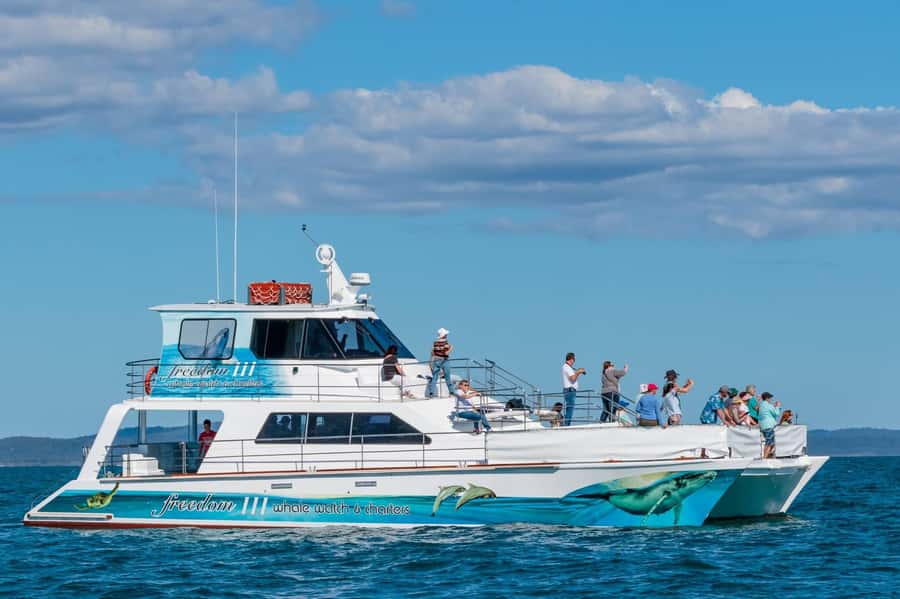 Hervey Bay Whale Odyssey Cruise - Why Platypus Bay makes this a six-hour outing