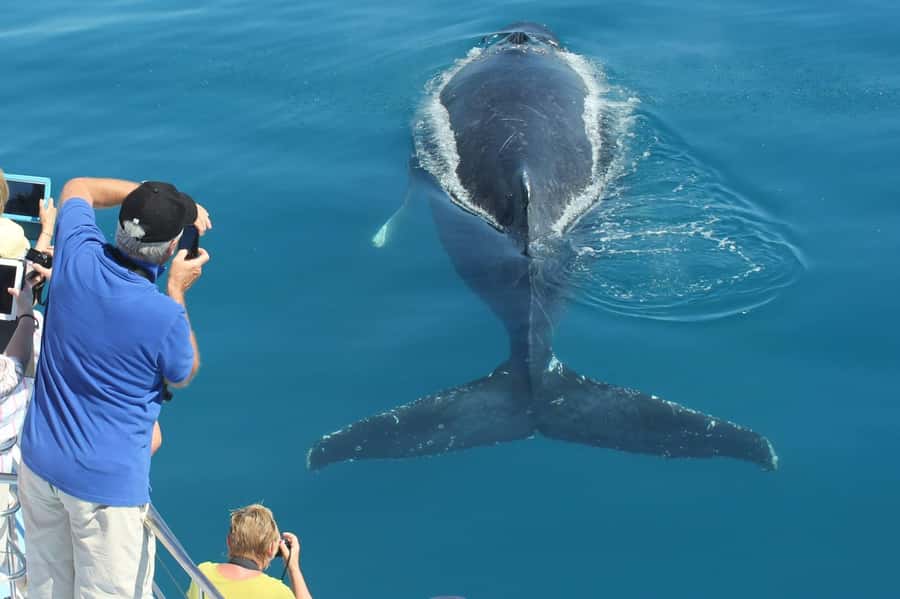 Hervey Bay Whale Odyssey Cruise - Leaving Urangan and settling aboard Freedom