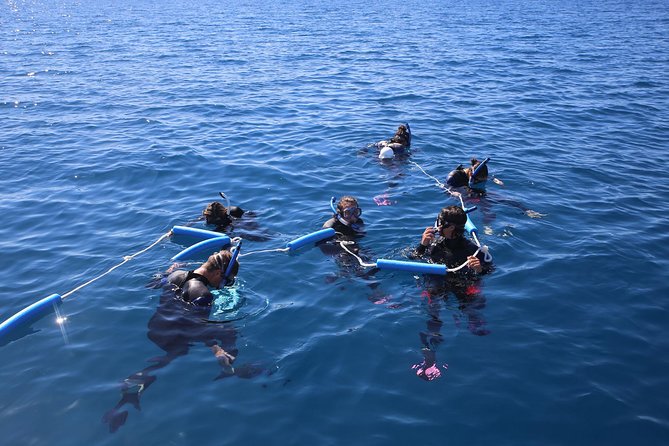 Hervey Bay Whale Swim and Watch - Setting out from Urangan for a day on the water