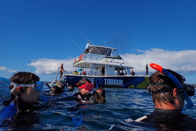 Hervey Bay Whale Swim and Watch - Lunch, hot drinks, and the small comforts