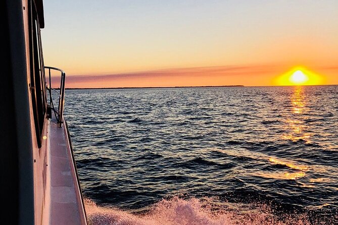 Hervey Bay Whale Swim and Watch - Weather, sea conditions, and realistic expectations