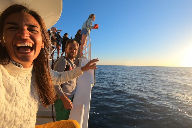 Hervey Bay Whale Watching Experience - Morning or afternoon and sunset?