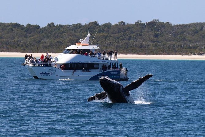 Hervey Bay Whale Watching Experience - Food, comfort, and the practical side of the boat