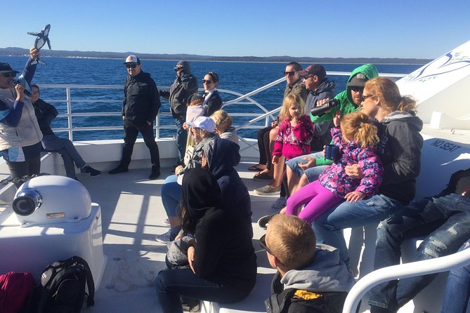 Hervey Bay Whale Watching Experience - Is the $111 price good value?