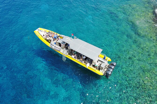 HIGH QUALITY Whale Watch Adventure Aboard Luxury Super Raft - Hearing humpbacks with the onboard hydrophone