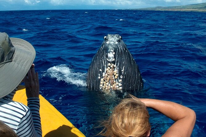 HIGH QUALITY Whale Watch Adventure Aboard Luxury Super Raft - Leaving Maalaea Harbor for the whale grounds