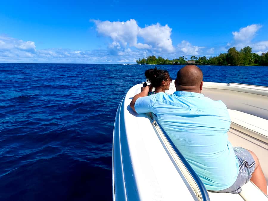 Hilo: Humpback Whale-Watching Cruise with Snacks and Drinks - Searching Hilo waters for humpbacks