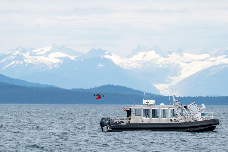 Hoonah: Icy Strait Whale Watch with Drone Filmography - Why the drone footage changes whale watching