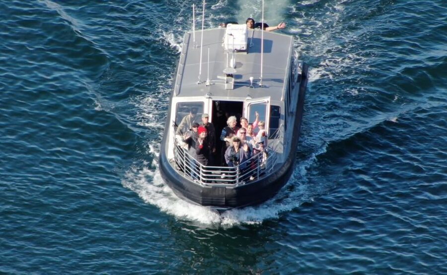 Hoonah: Icy Strait Whale Watch with Drone Filmography - Is $255 a fair price?