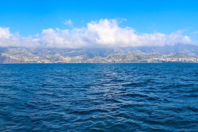 Hop-on Hop-off Bus Tour and Catamaran Whale & Dolphin Watching - Stops 1 to 8: Funchal’s core sights