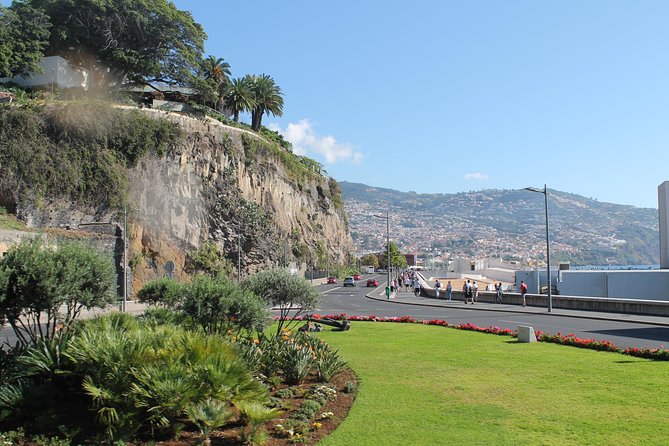 Hop-on Hop-off Bus Tour and Catamaran Whale & Dolphin Watching - Stops 21 to 29: hotels, the port, and design