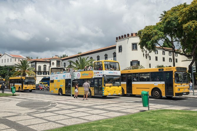Hop-on Hop-off Bus Tour and Catamaran Whale & Dolphin Watching - The included extras and what they are worth