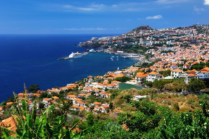 Hop-on Hop-off Bus Tour and Catamaran Whale & Dolphin Watching - Stops 9 to 13: gardens, bay views, and the Lido