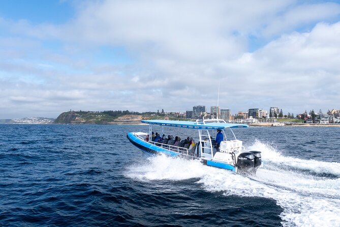 Humpback Whale Encounter Tour from Newcastle - Setting out from Dock C in Newcastle Harbour