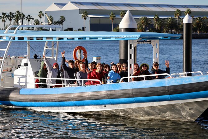 Humpback Whale Encounter Tour from Newcastle - Who will enjoy this Newcastle cruise?