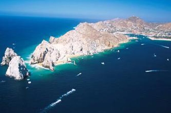 Humpback Whales in Cabo San Lucas - Key points to know before you book