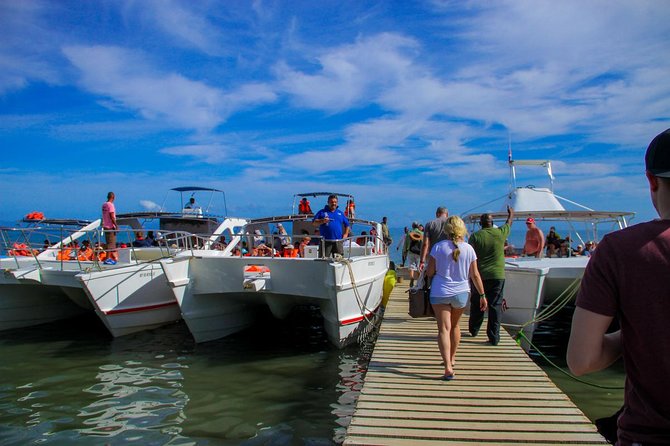 Humpback whales Watching + Samana Eco-Tour - El Limón waterfall and the three-hour stop