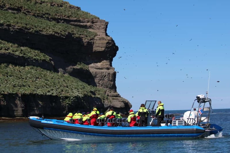 Húsavík: Original Big Whale Safari & Puffins by Speedboat - The value of $175 per person