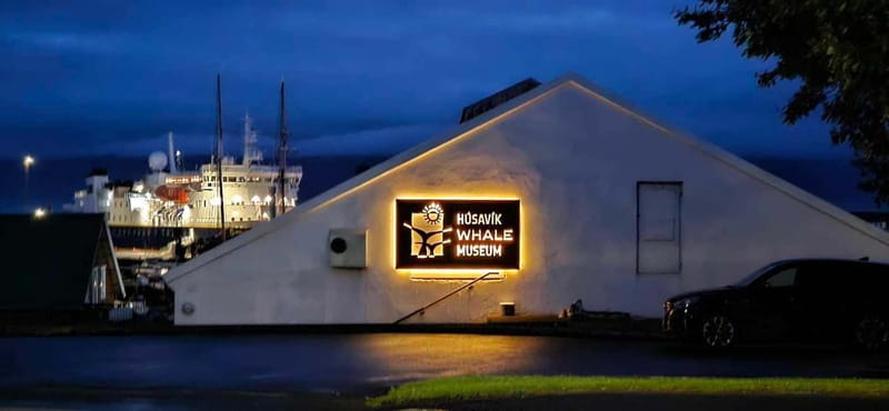 Húsavík: Whale Museum Entry Ticket - Who will get the most from this museum?