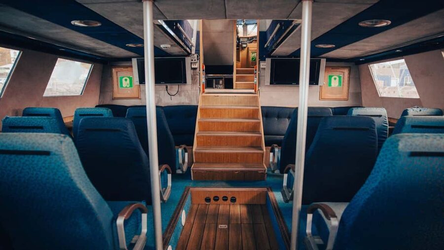 Húsavík: Whale Watching – Family Run with Indoor Seats - Why the guides matter
