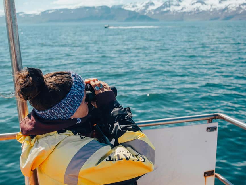 Húsavík: Whale Watching – Family Run with Indoor Seats - Is $96 a fair price?
