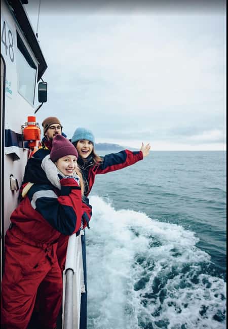 Húsavík: Whale Watching – Family Run with Indoor Seats - What the three-hour route feels like