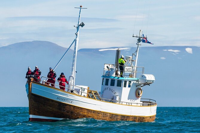 Húsavík Whale Watching Tour, family owned and operated - Key things to know before booking